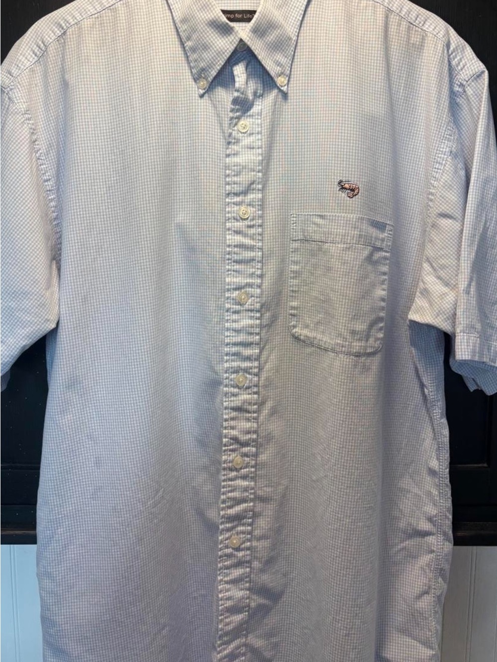 Light Blue Check Short-Sleeve Button-Down Shirt